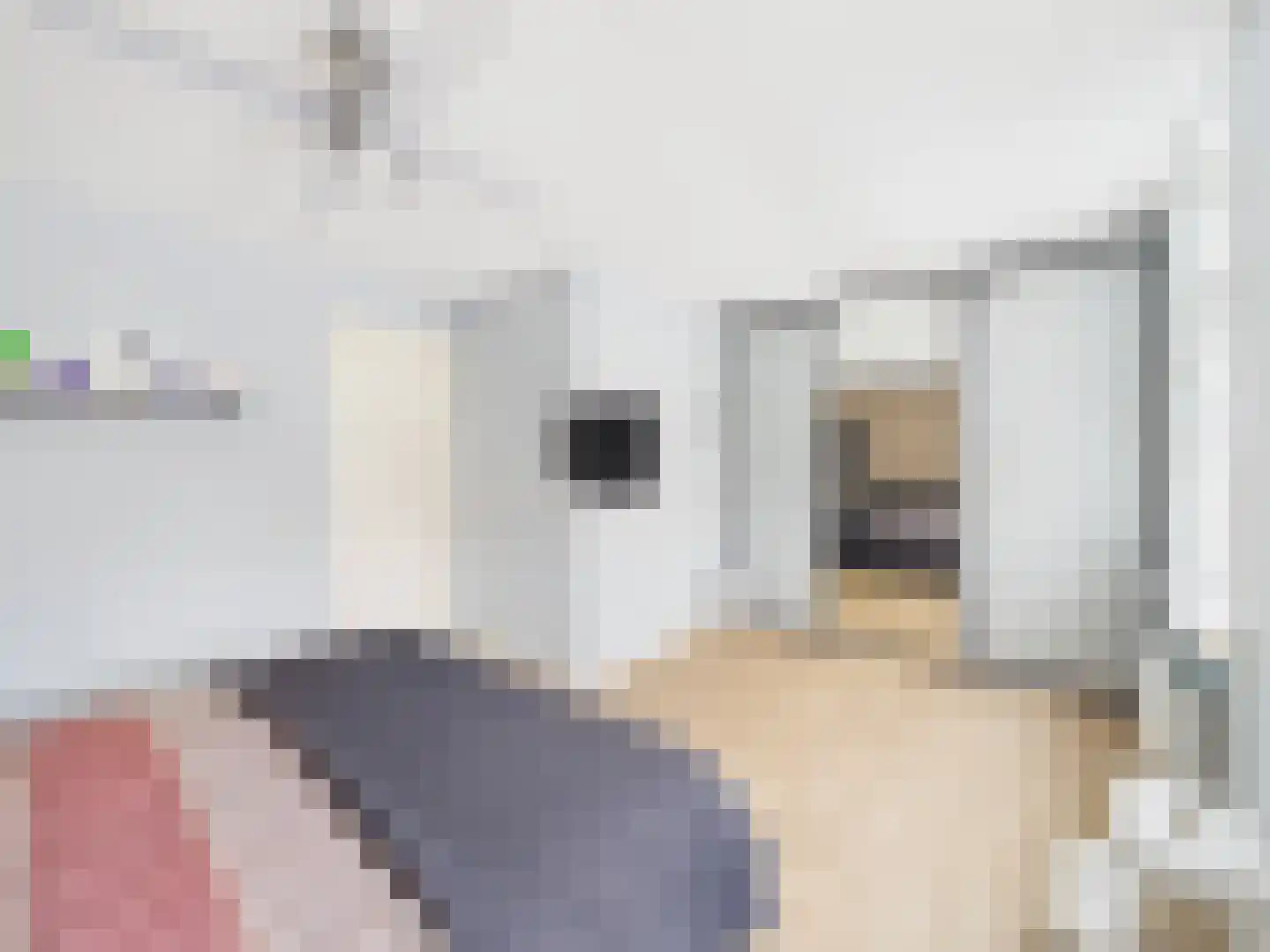 Kraanvogel 3 Terneuzen thumbnail 23