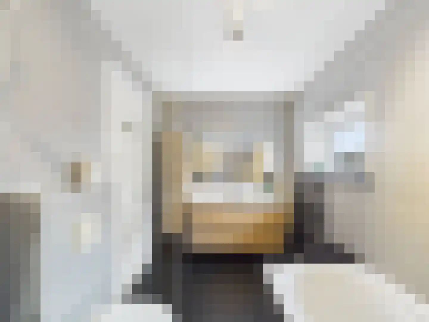 Kraanvogel 3 Terneuzen thumbnail 30