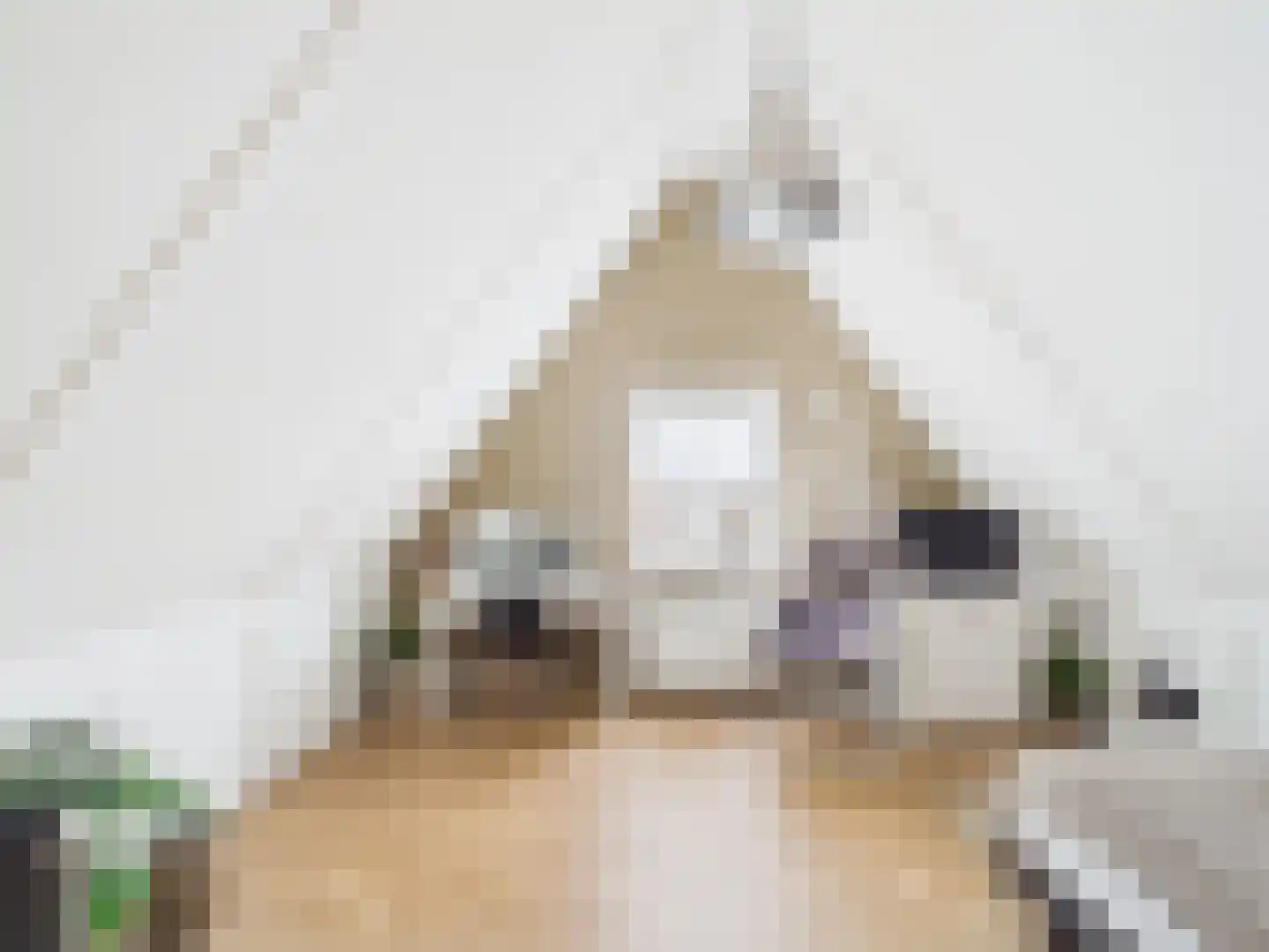 Kraanvogel 3 Terneuzen thumbnail 32