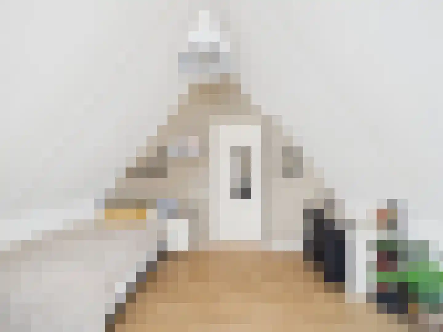 Kraanvogel 3 Terneuzen thumbnail 33