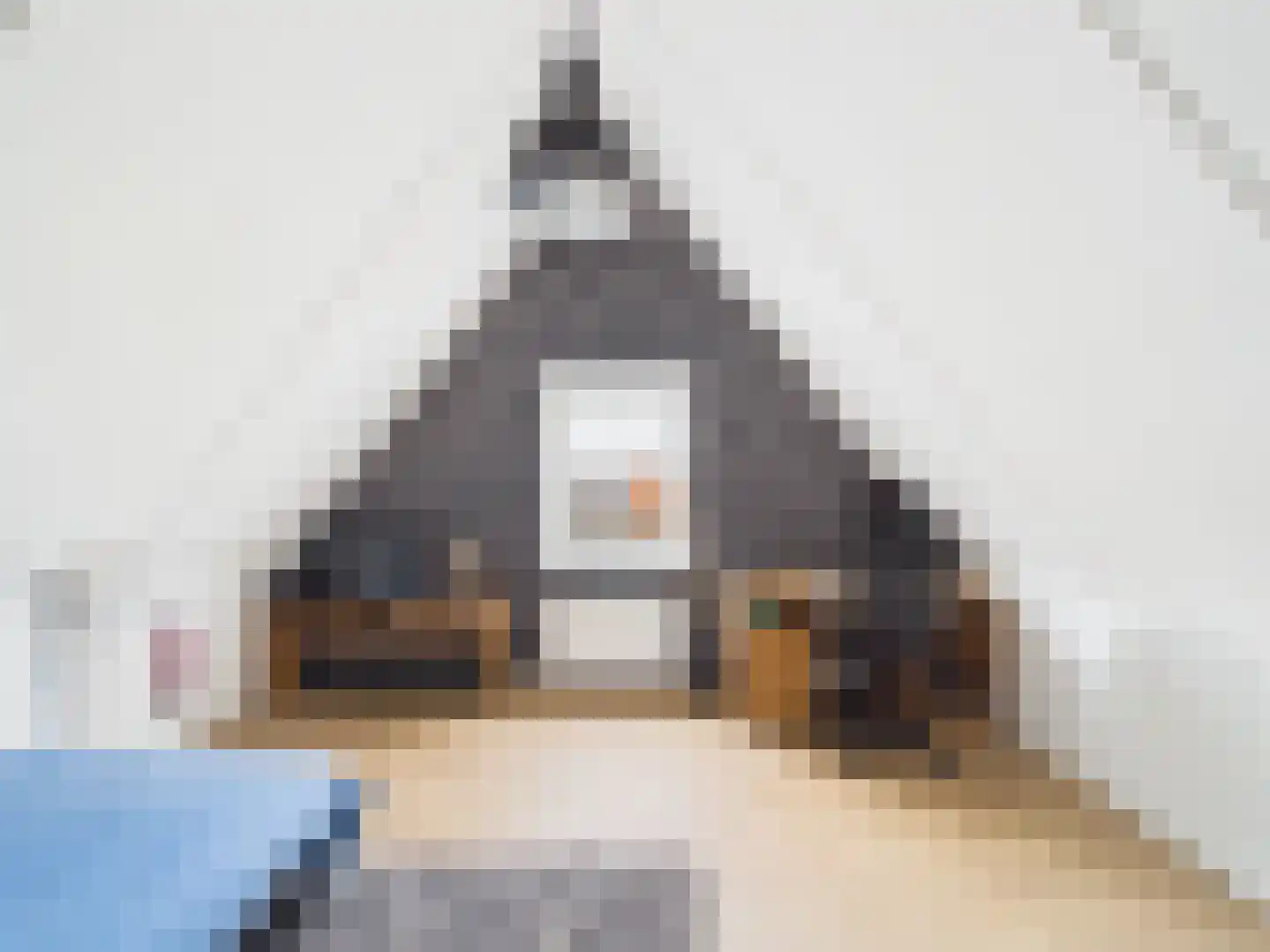 Kraanvogel 3 Terneuzen thumbnail 35