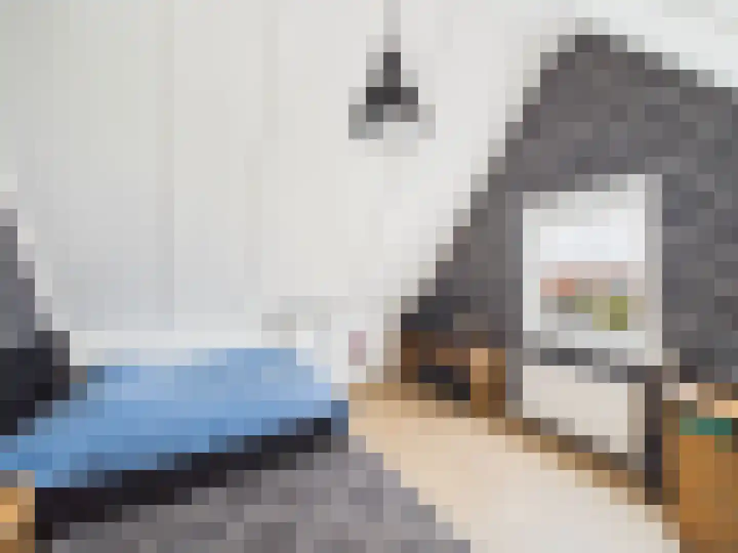 Kraanvogel 3 Terneuzen thumbnail 36