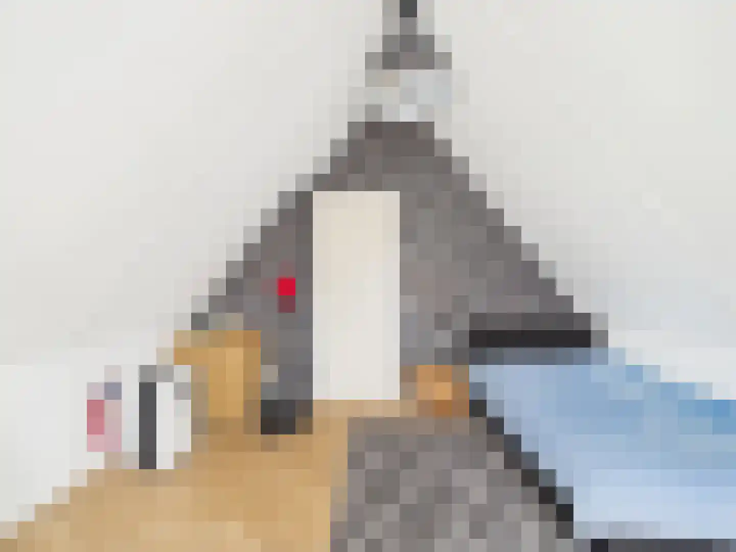 Kraanvogel 3 Terneuzen thumbnail 37