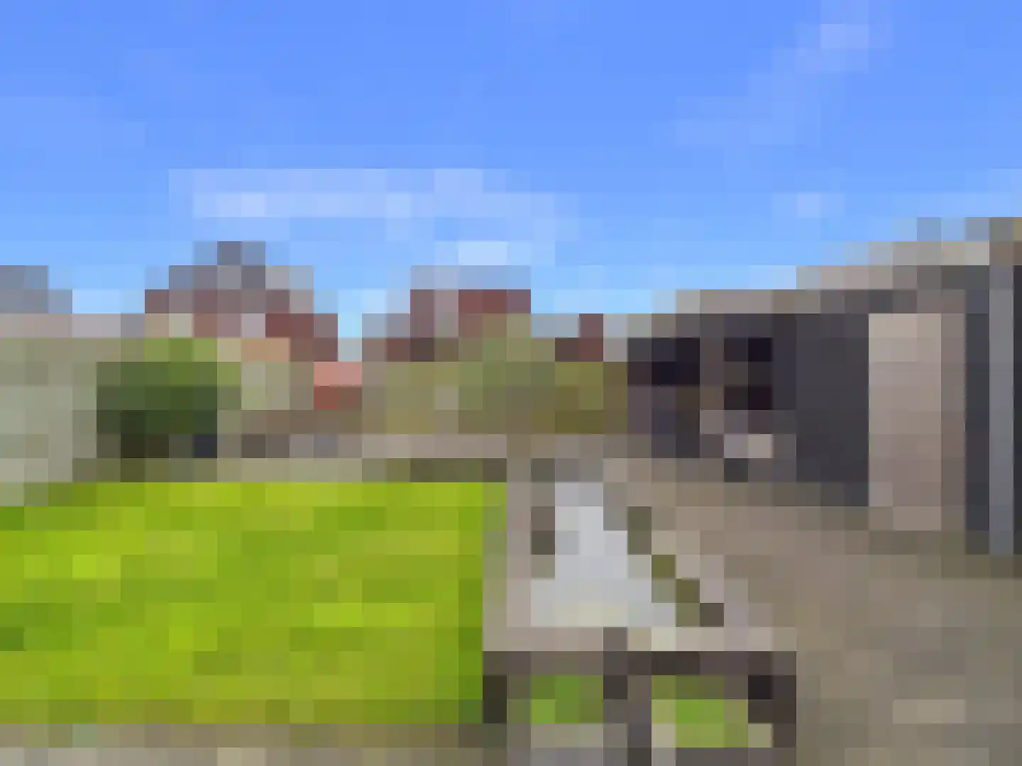 Kraanvogel 3 Terneuzen thumbnail 38