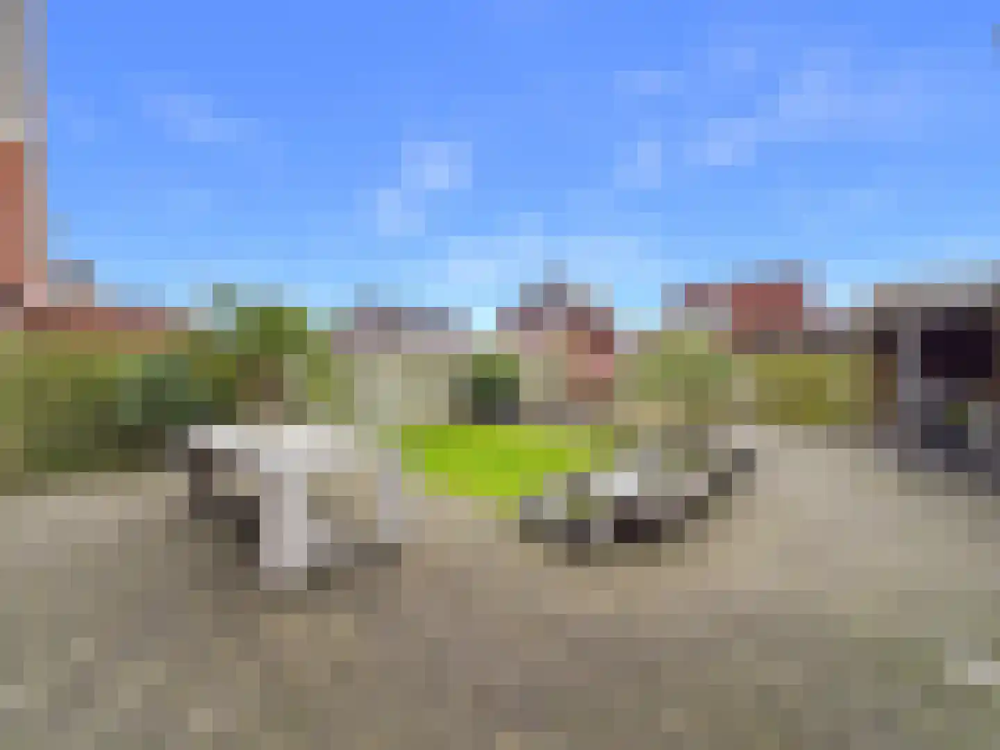 Kraanvogel 3 Terneuzen thumbnail 39