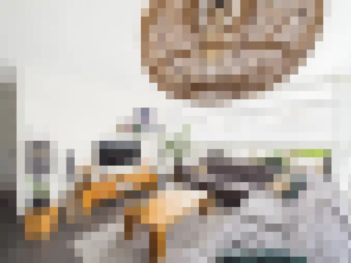 Kraanvogel 3 Terneuzen thumbnail 4