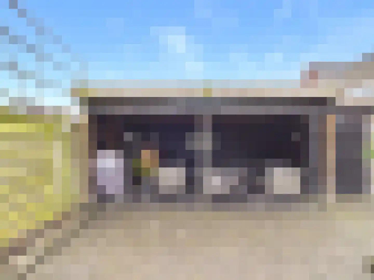 Kraanvogel 3 Terneuzen thumbnail 40