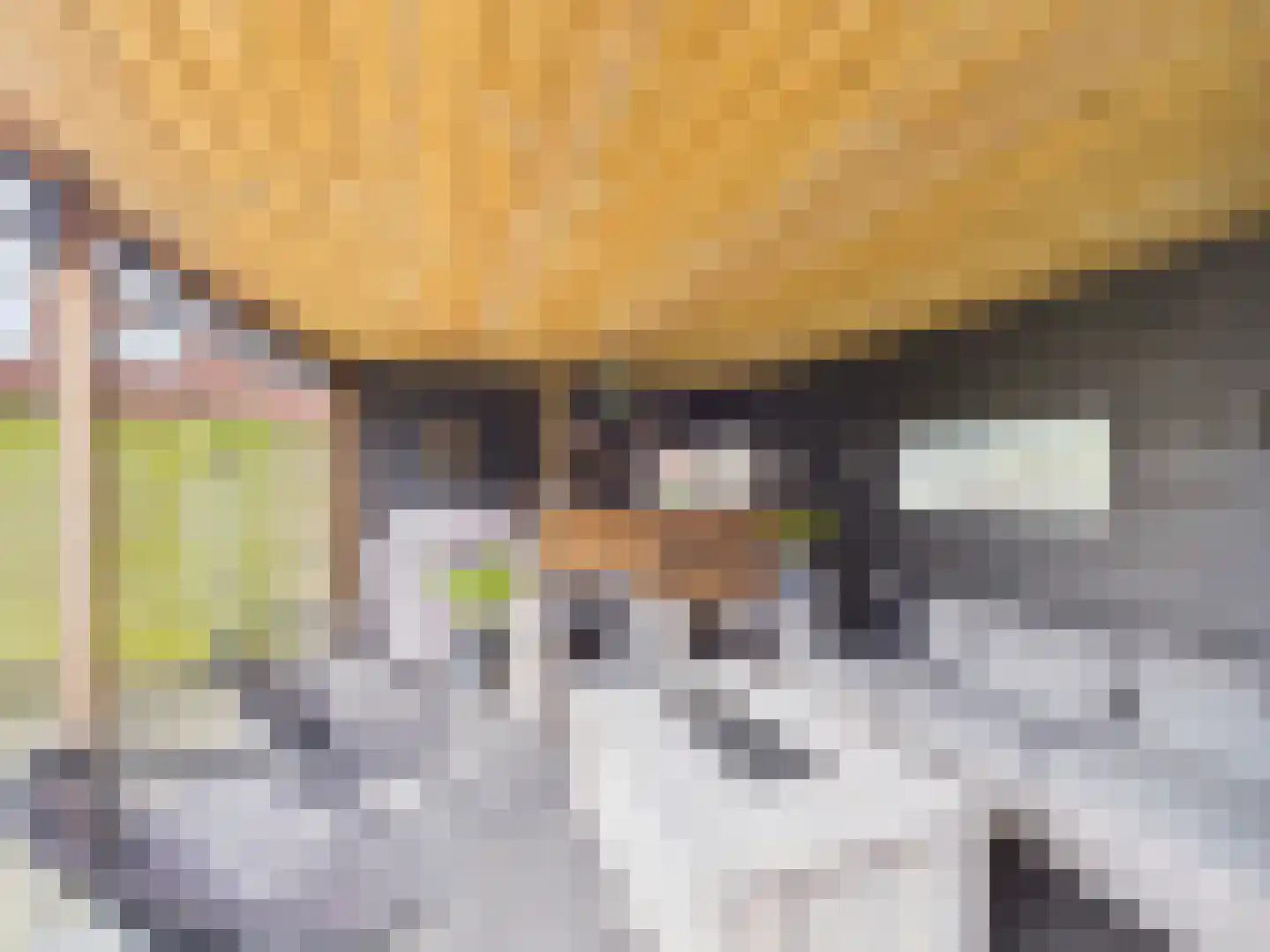 Kraanvogel 3 Terneuzen thumbnail 41