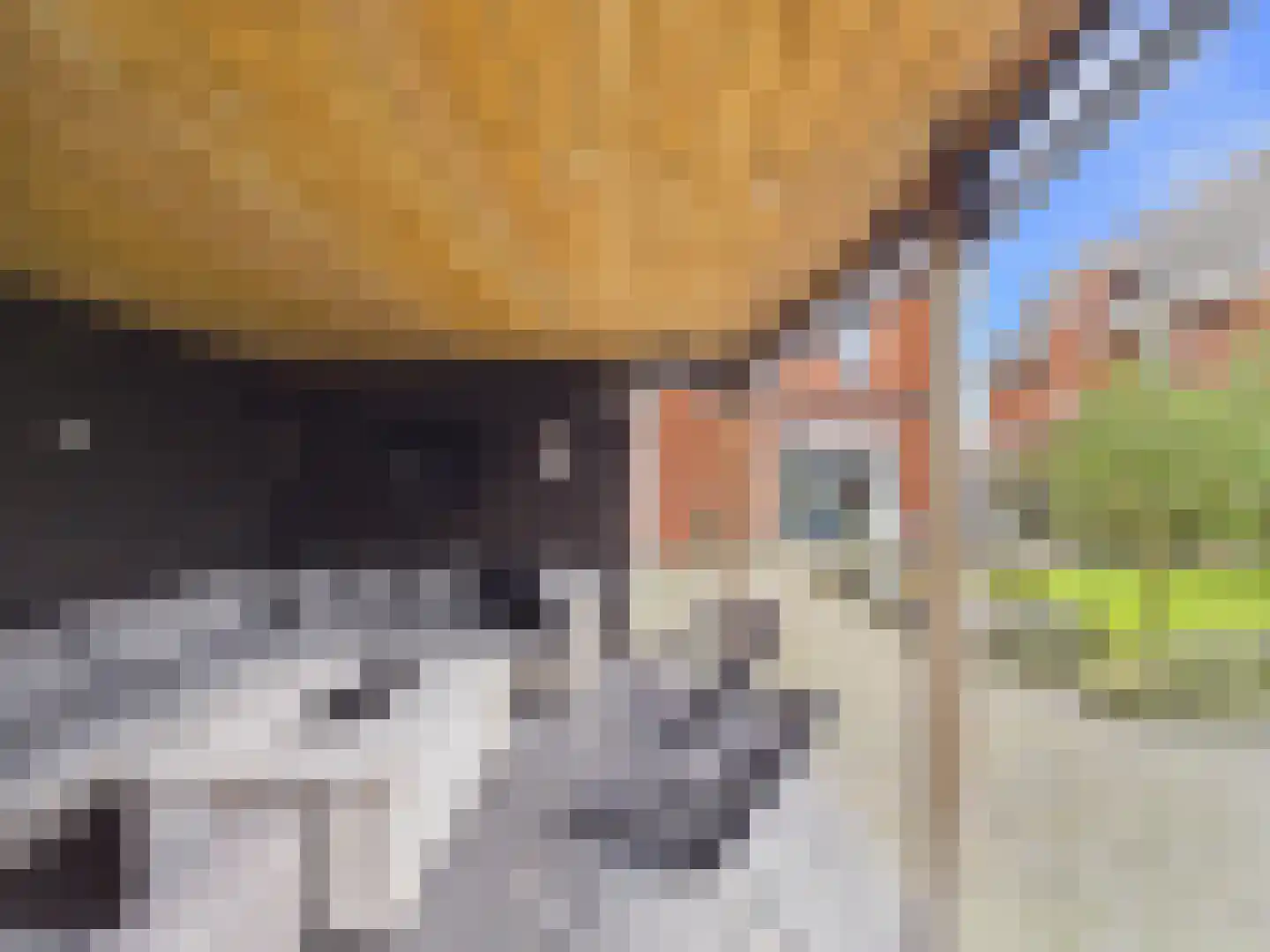 Kraanvogel 3 Terneuzen thumbnail 42