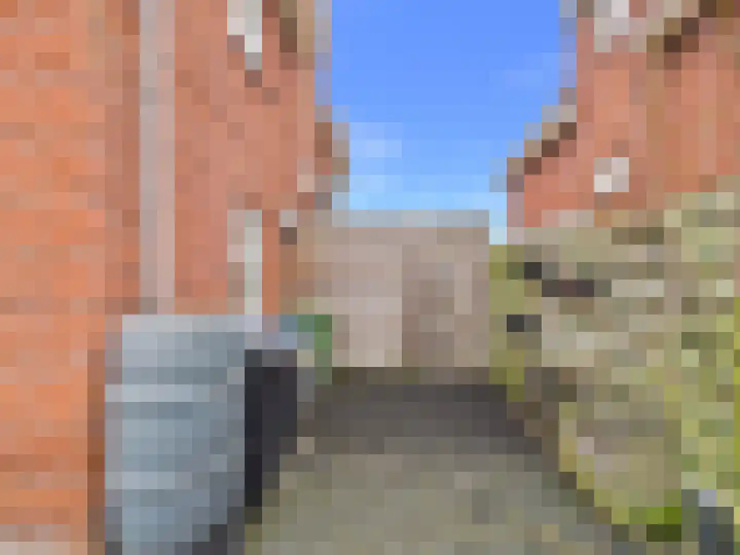 Kraanvogel 3 Terneuzen thumbnail 44