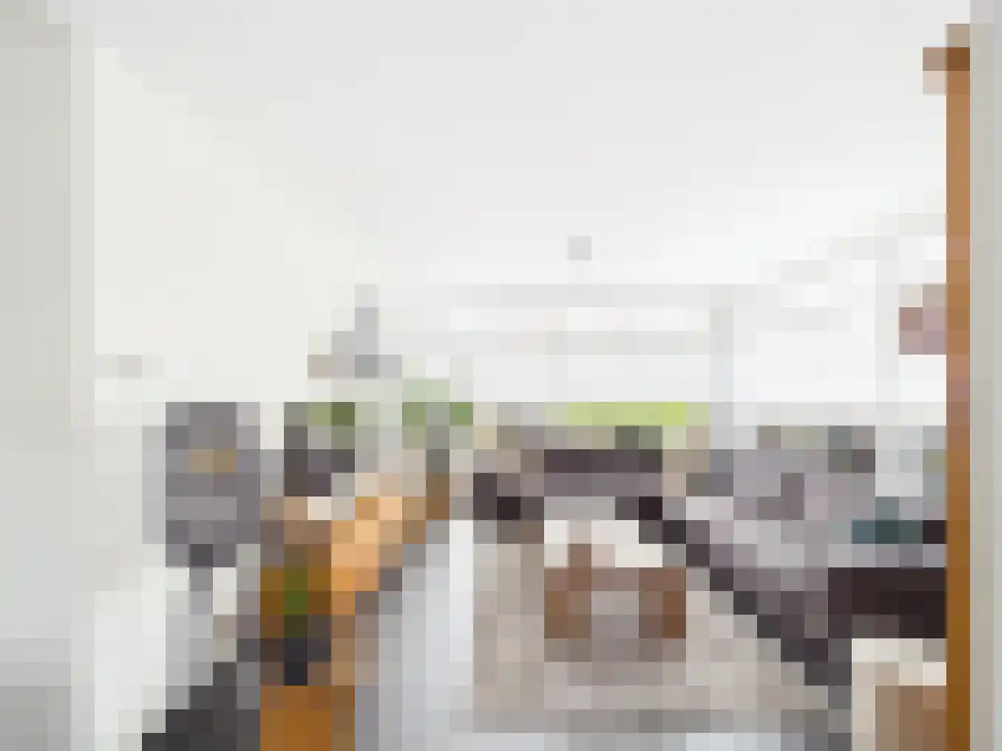 Kraanvogel 3 Terneuzen thumbnail 5