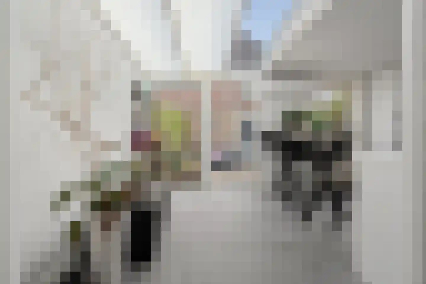 Kraanvogel 43 Etten-Leur thumbnail 14