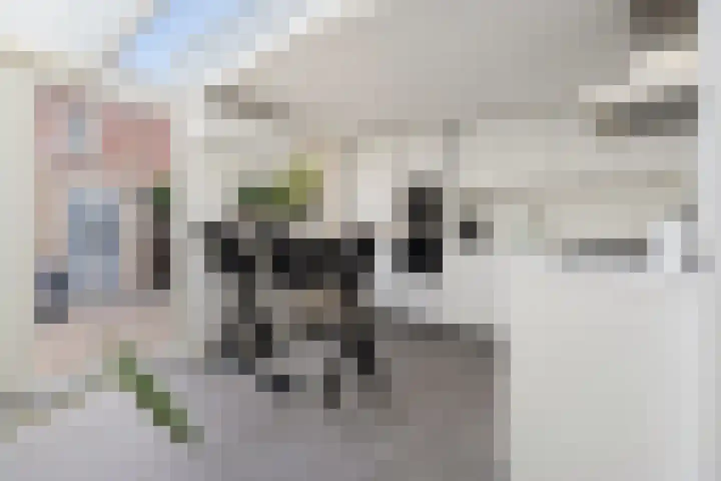 Kraanvogel 43 Etten-Leur thumbnail 15