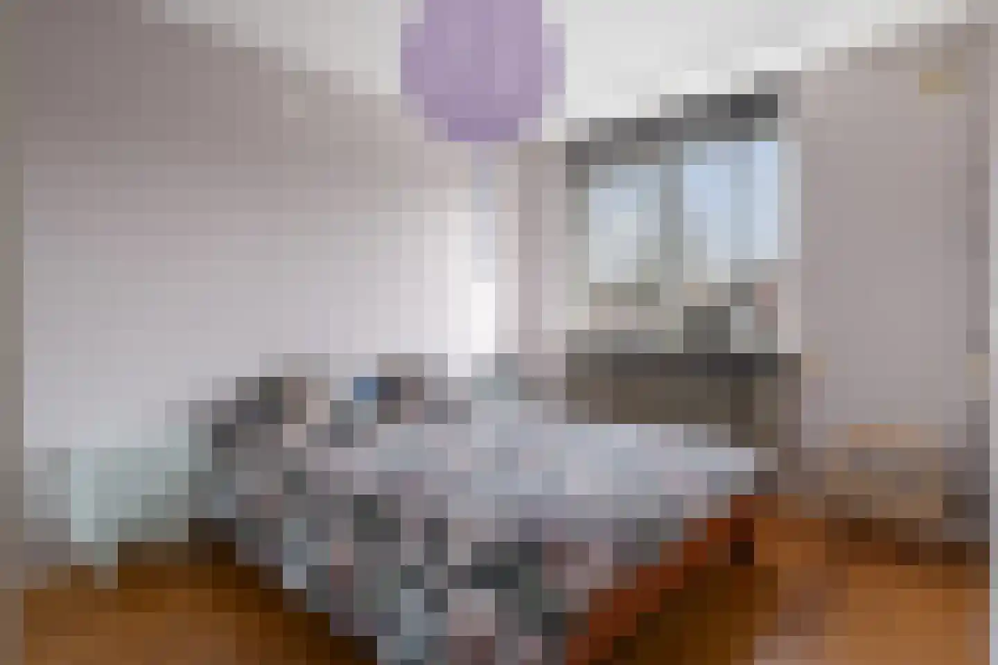 Kraanvogel 43 Etten-Leur thumbnail 26