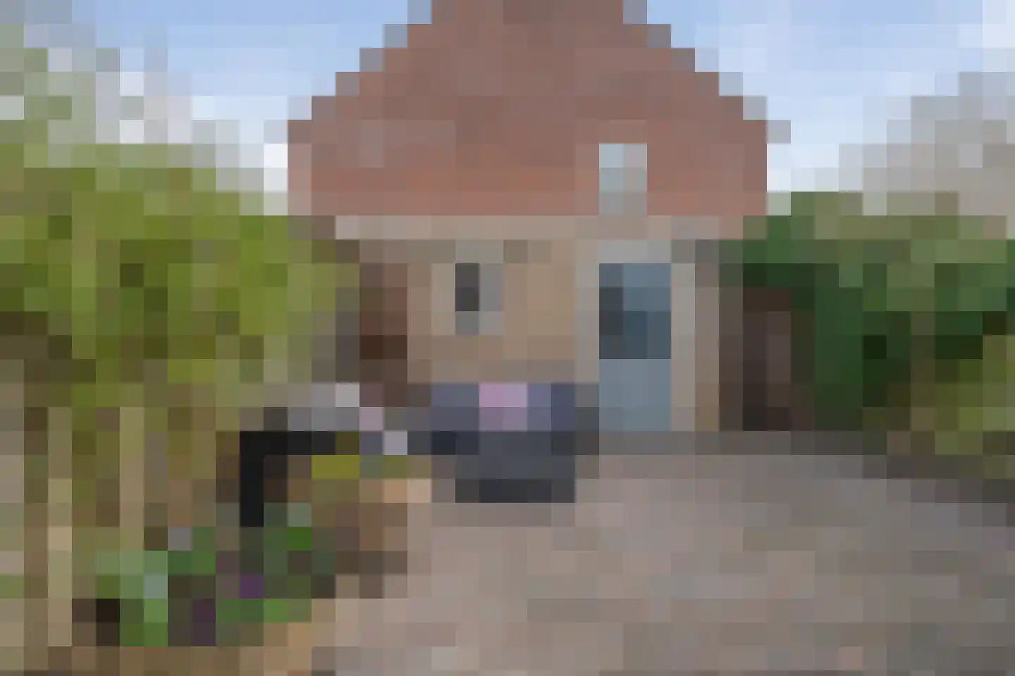 Kraanvogel 43 Etten-Leur thumbnail 41