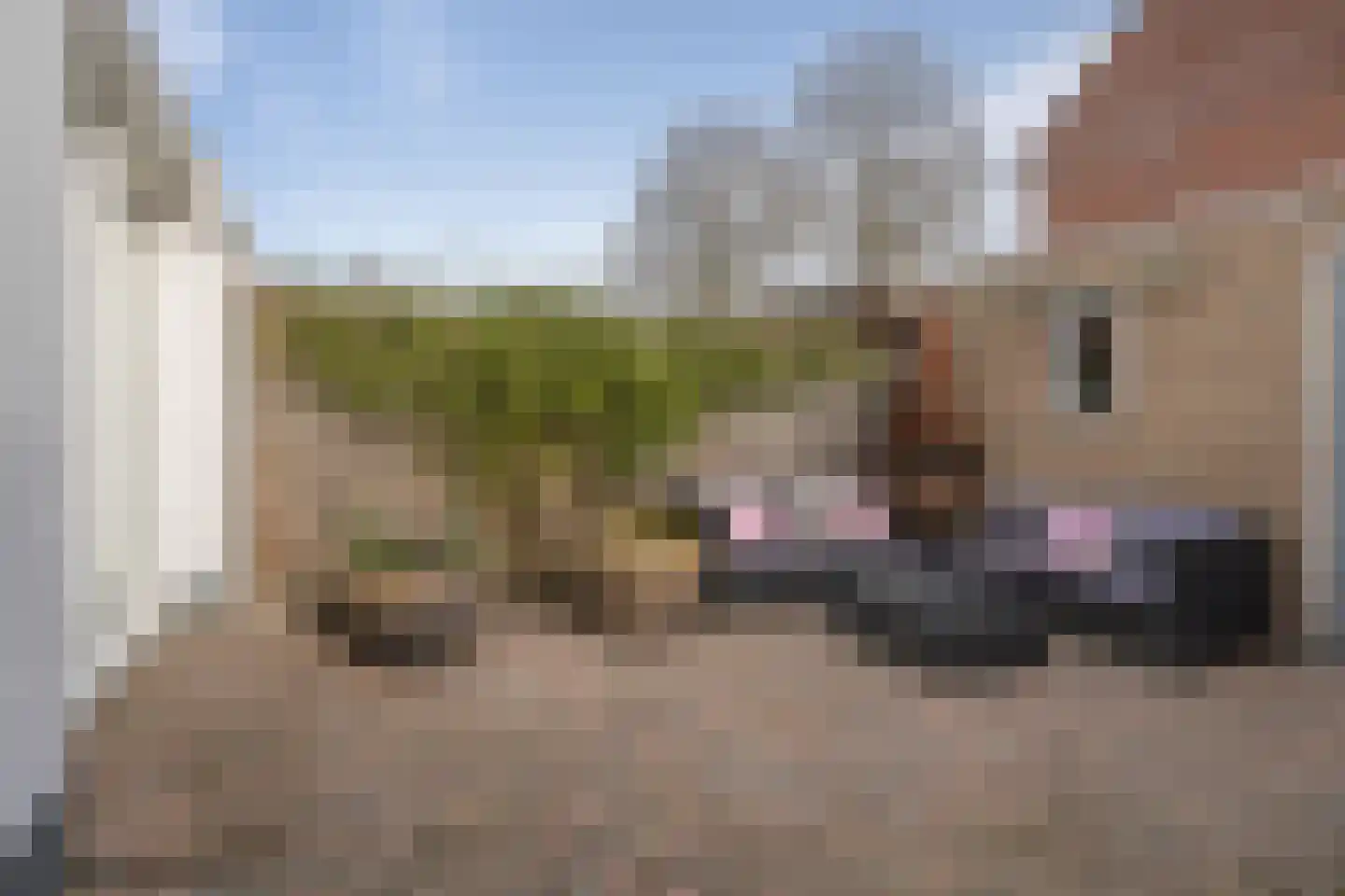 Kraanvogel 43 Etten-Leur thumbnail 45