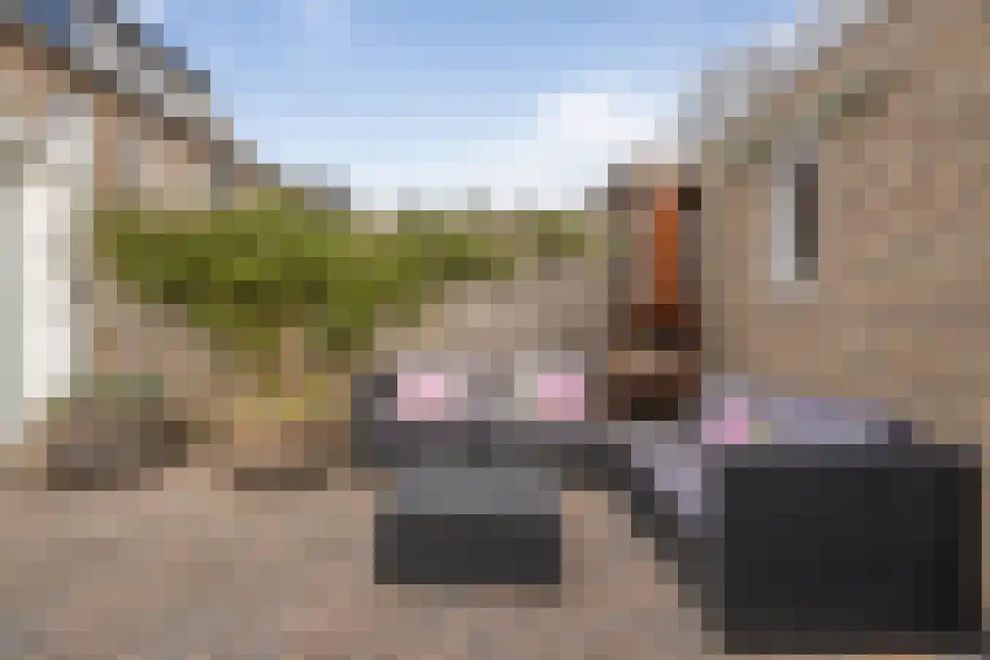 Kraanvogel 43 Etten-Leur thumbnail 47