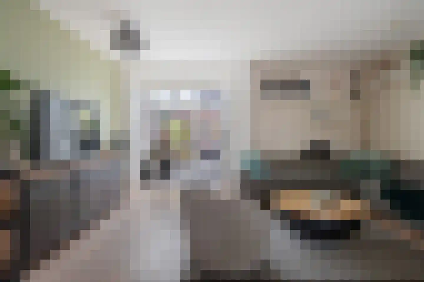 Kraanvogel 43 Etten-Leur thumbnail 5