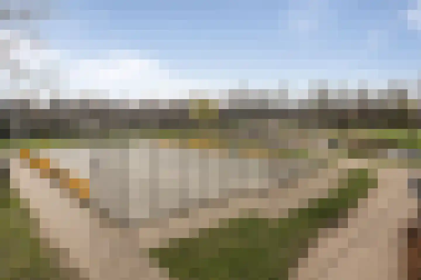 Kraanvogel 43 Etten-Leur thumbnail 54