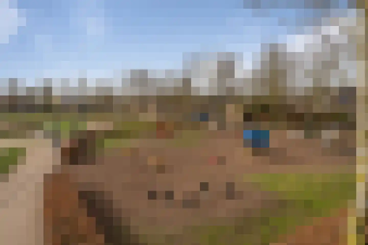 Kraanvogel 43 Etten-Leur thumbnail 55