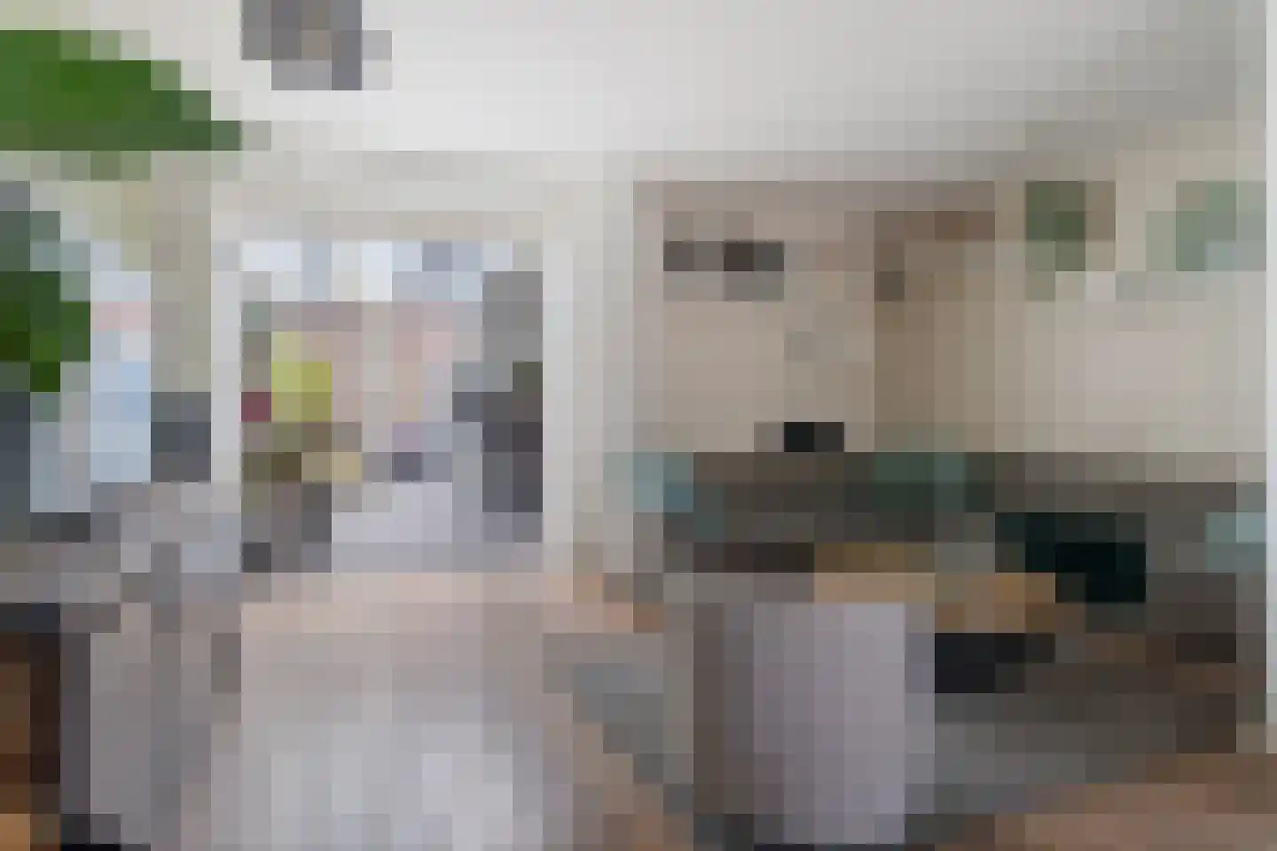 Kraanvogel 43 Etten-Leur thumbnail 6