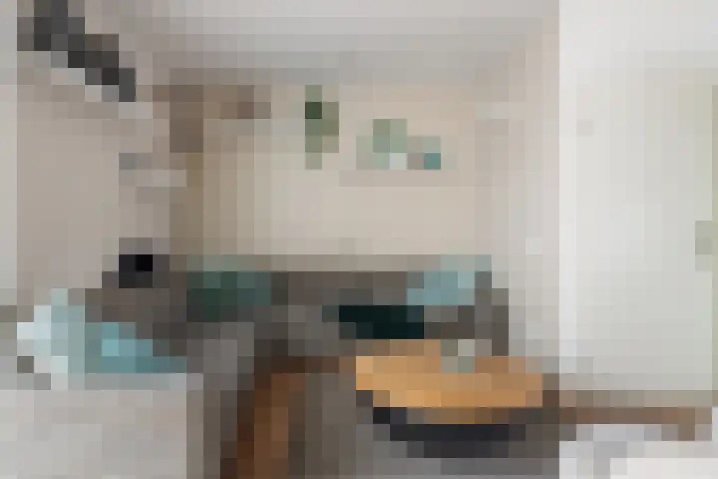Kraanvogel 43 Etten-Leur thumbnail 9