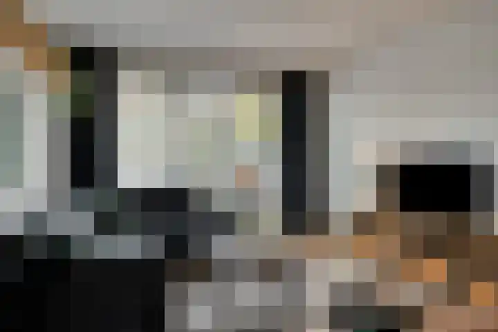 Kraanvogel 49 Etten-Leur thumbnail 12