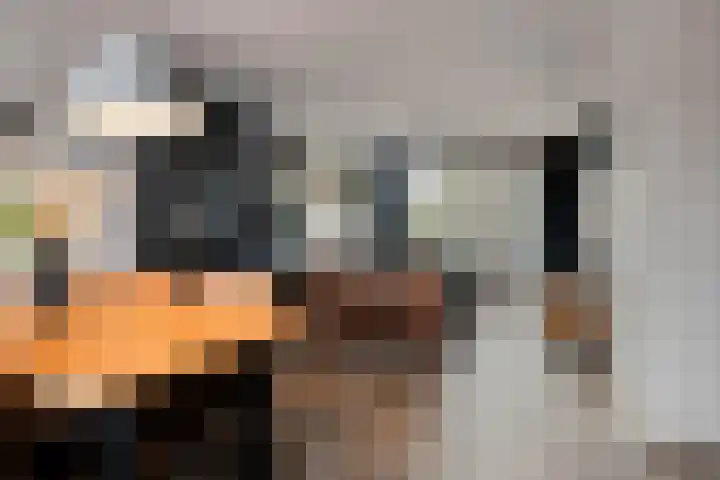 Kraanvogel 49 Etten-Leur thumbnail 13