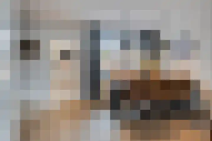 Kraanvogel 49 Etten-Leur thumbnail 16