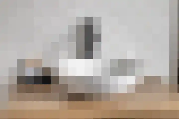 Kraanvogel 49 Etten-Leur thumbnail 25