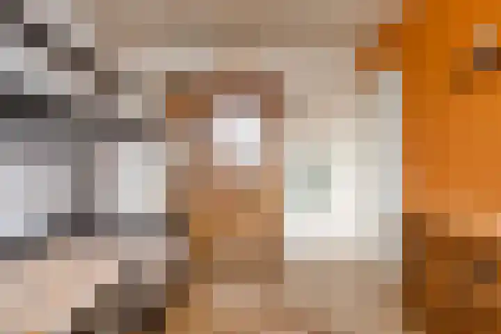 Kraanvogel 49 Etten-Leur thumbnail 27