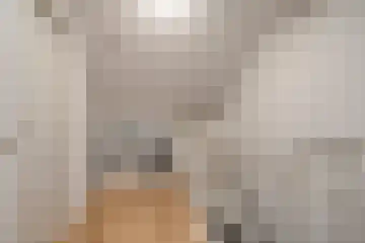 Kraanvogel 49 Etten-Leur thumbnail 30