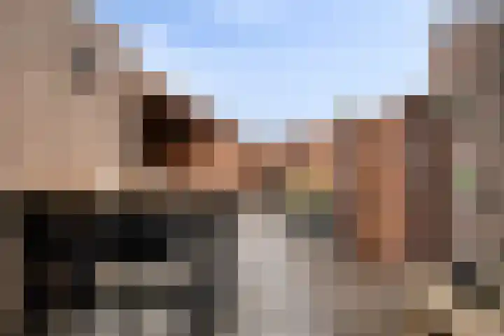 Kraanvogel 49 Etten-Leur thumbnail 34