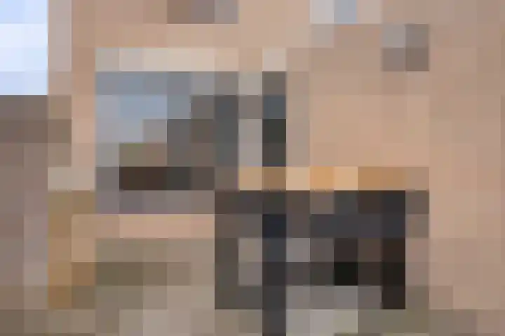 Kraanvogel 49 Etten-Leur thumbnail 35