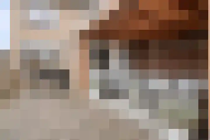 Kraanvogel 49 Etten-Leur thumbnail 37