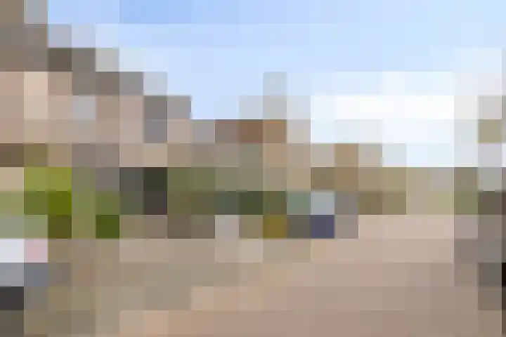 Kraanvogel 49 Etten-Leur thumbnail 6
