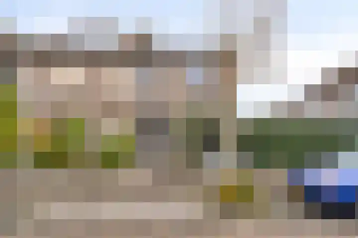 Kraanvogel 49 Etten-Leur thumbnail 8