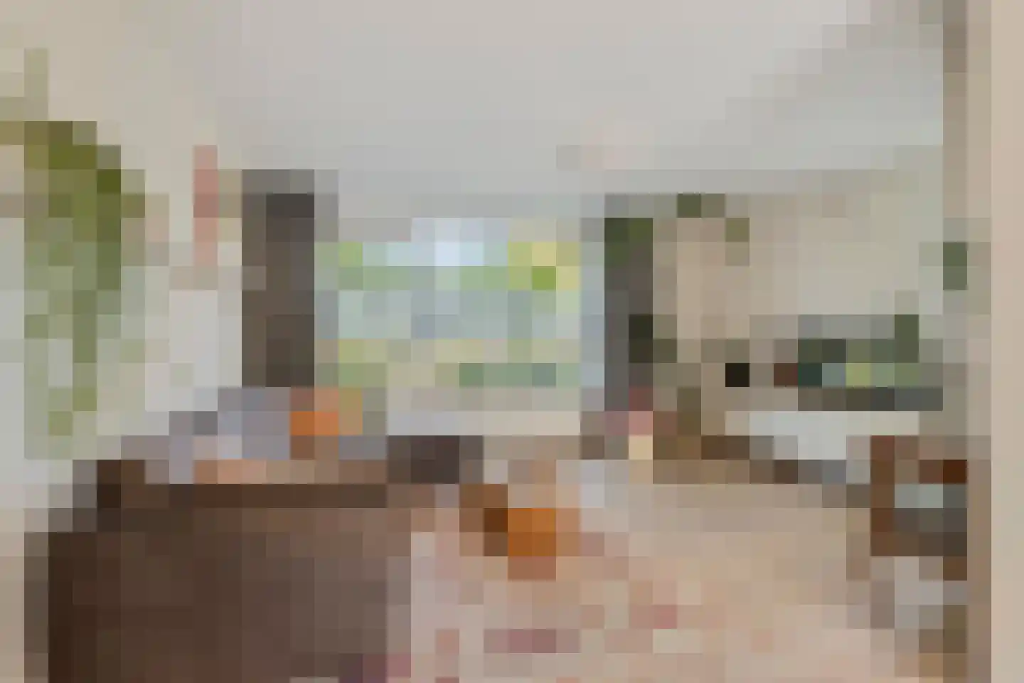 Kraanvogel 5 Breda thumbnail 11