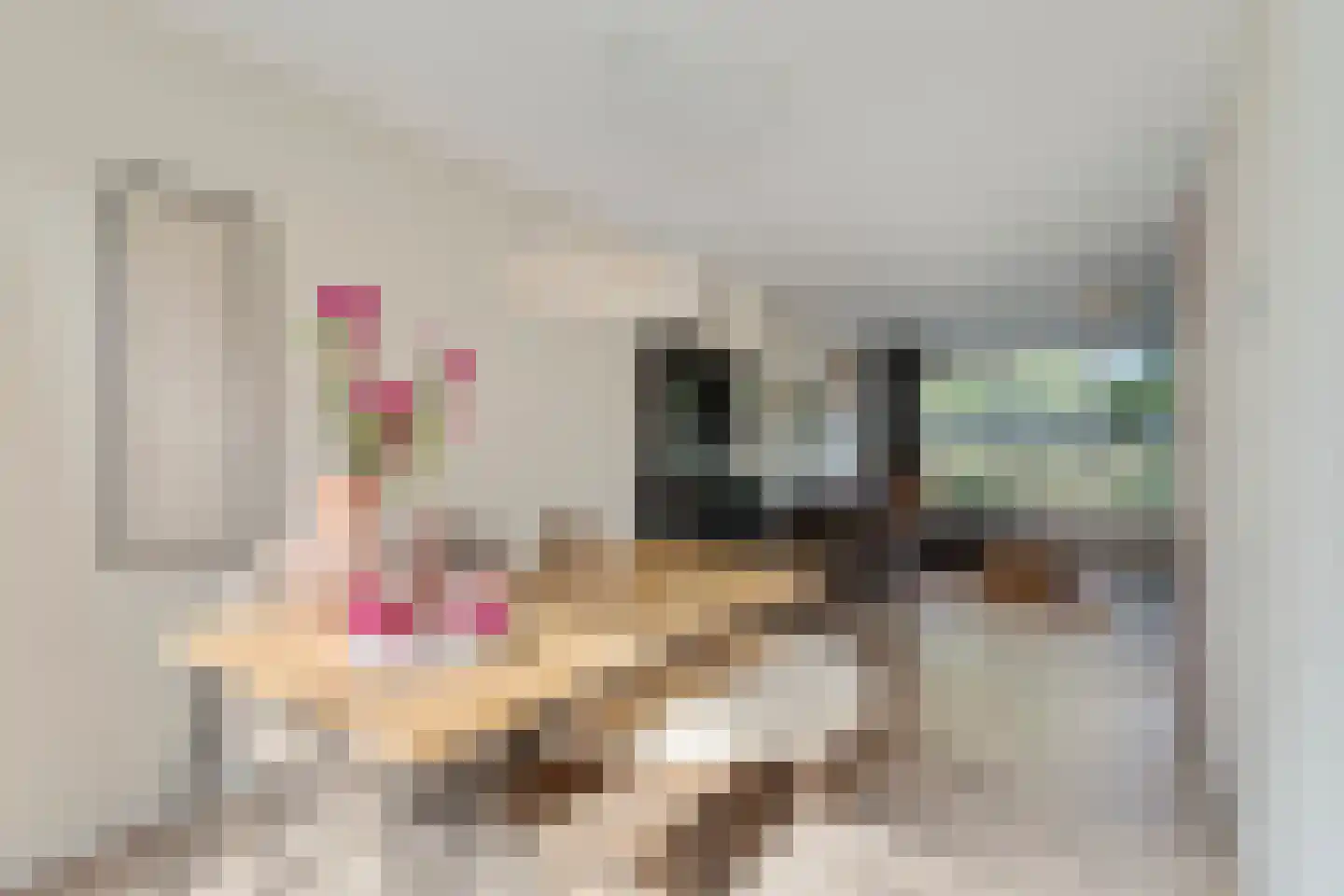 Kraanvogel 5 Breda thumbnail 14