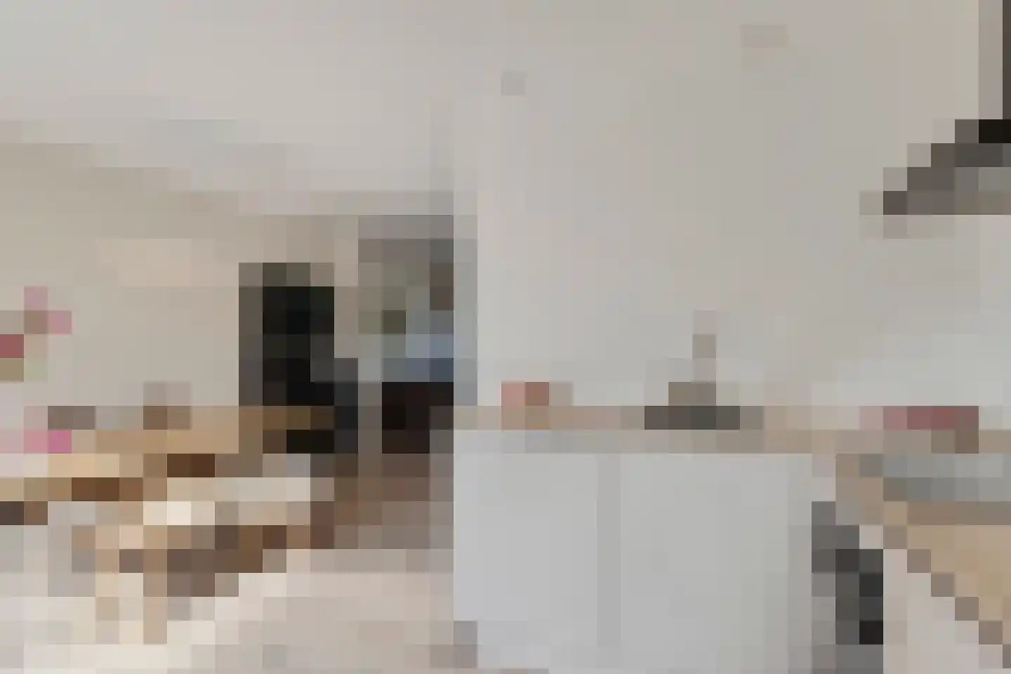 Kraanvogel 5 Breda thumbnail 20