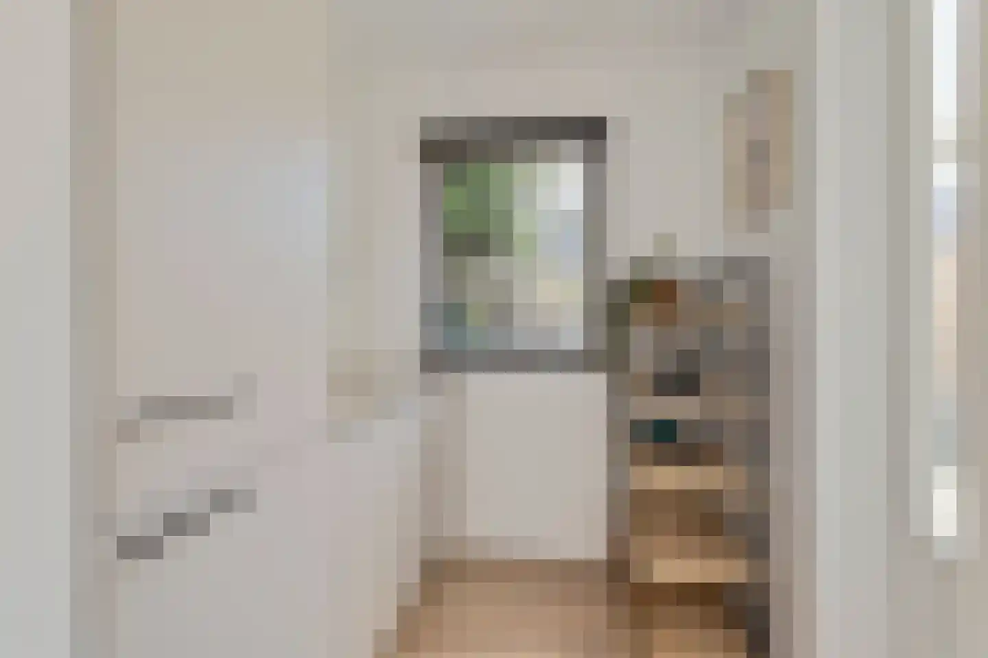 Kraanvogel 5 Breda thumbnail 22