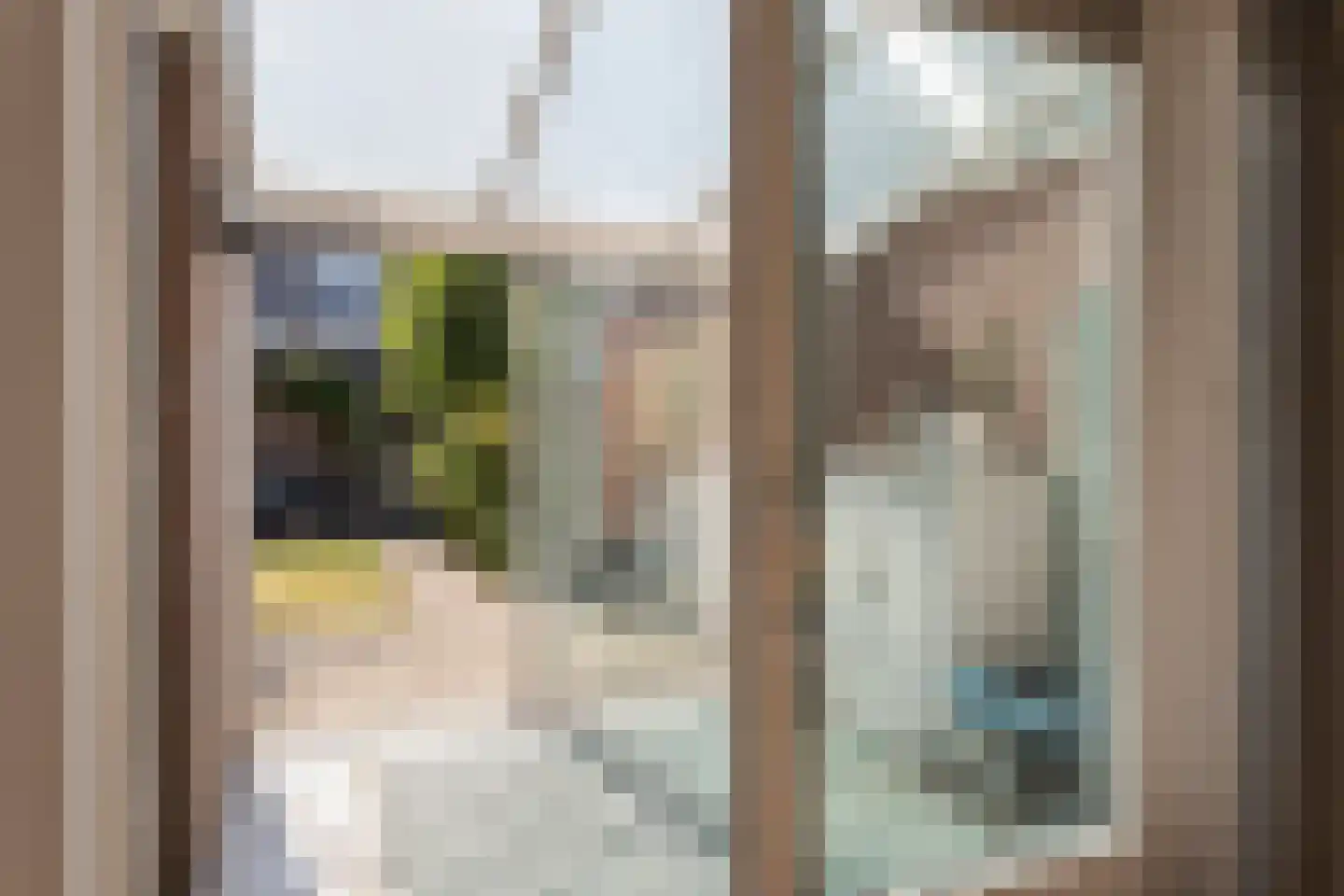 Kraanvogel 5 Breda thumbnail 23