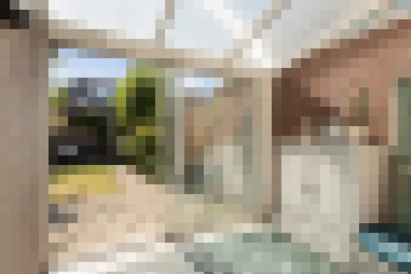 Kraanvogel 5 Breda thumbnail 24