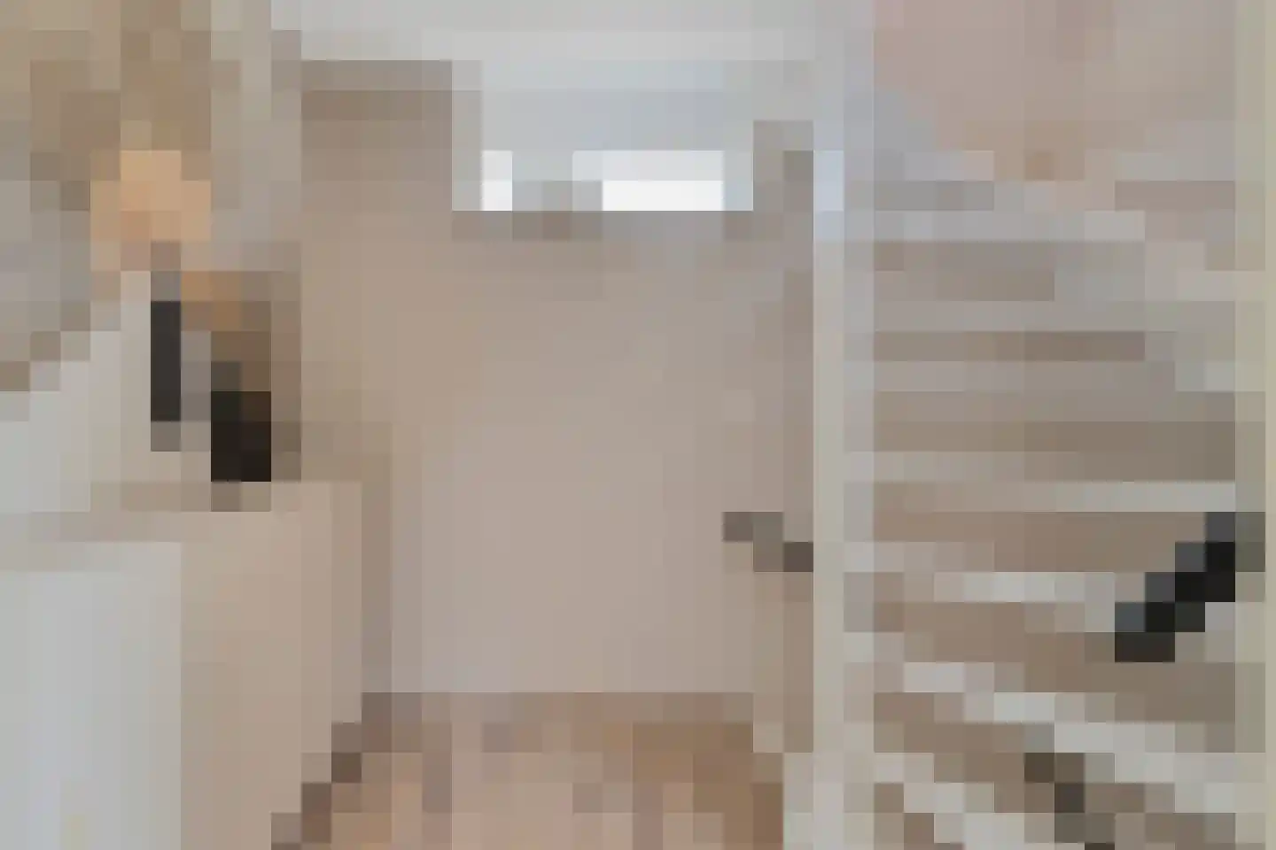 Kraanvogel 5 Breda thumbnail 25