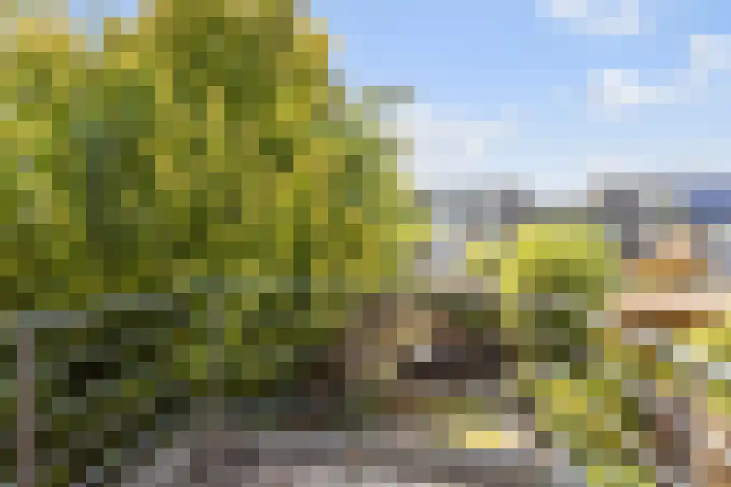 Kraanvogel 5 Breda thumbnail 28