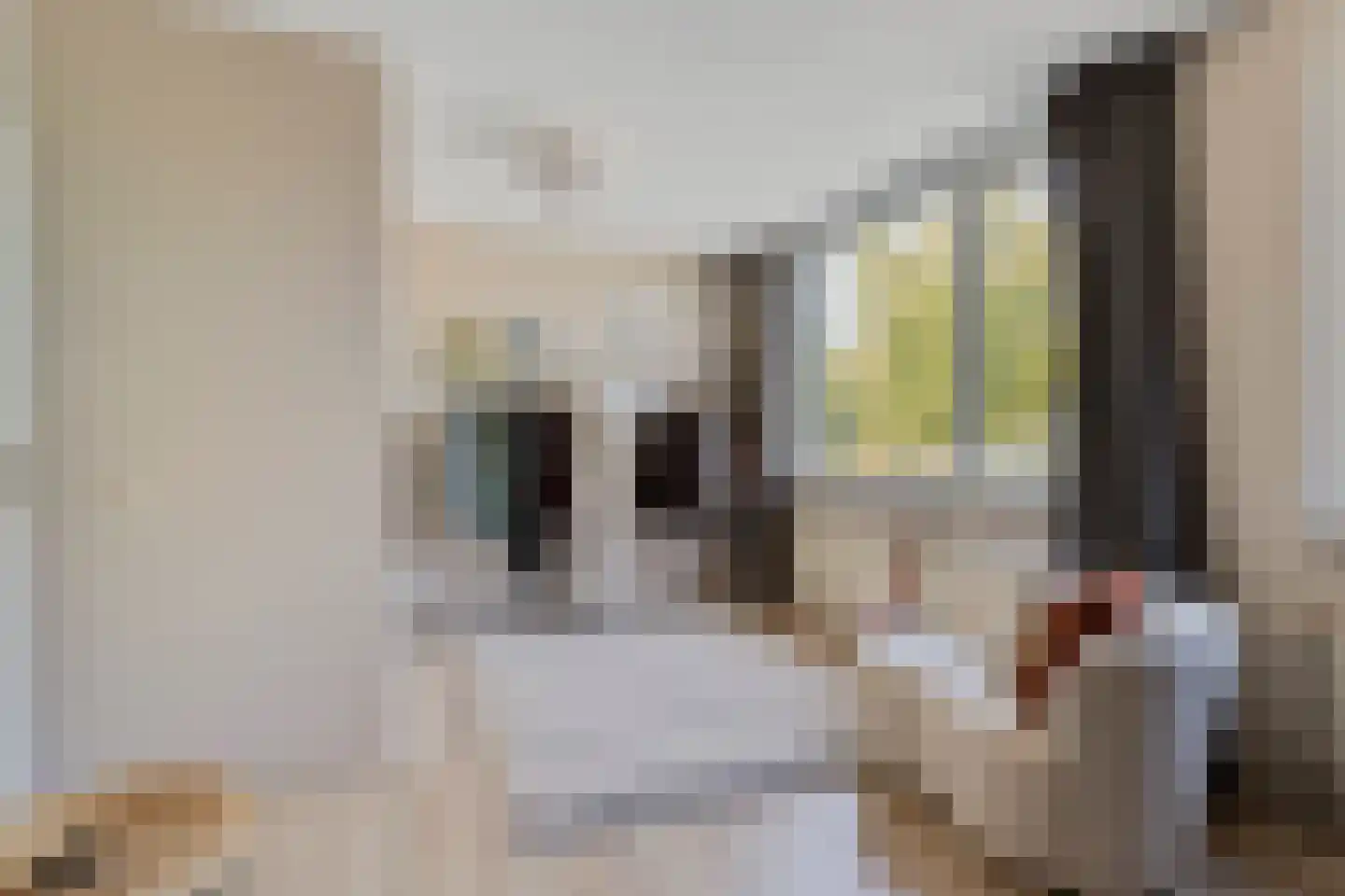 Kraanvogel 5 Breda thumbnail 29