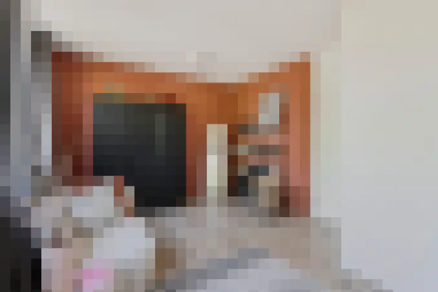 Kraanvogel 5 Breda thumbnail 30