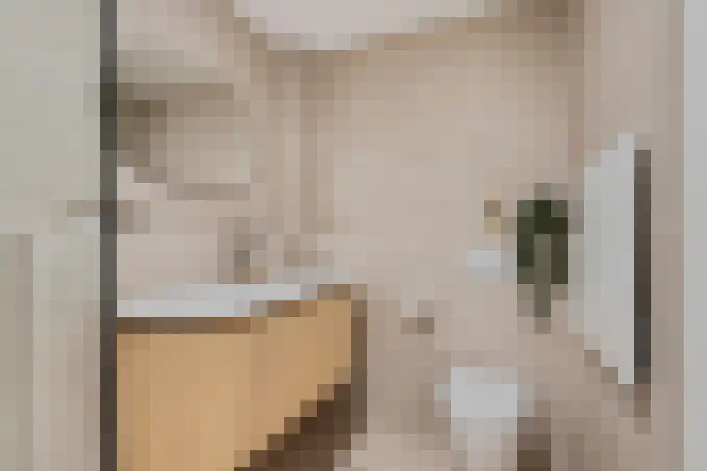Kraanvogel 5 Breda thumbnail 32