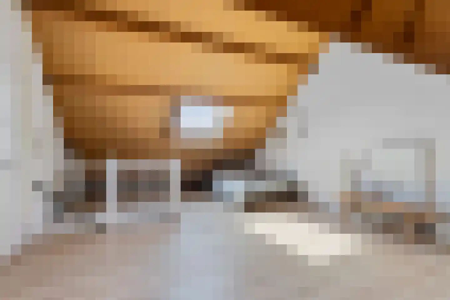 Kraanvogel 5 Breda thumbnail 34