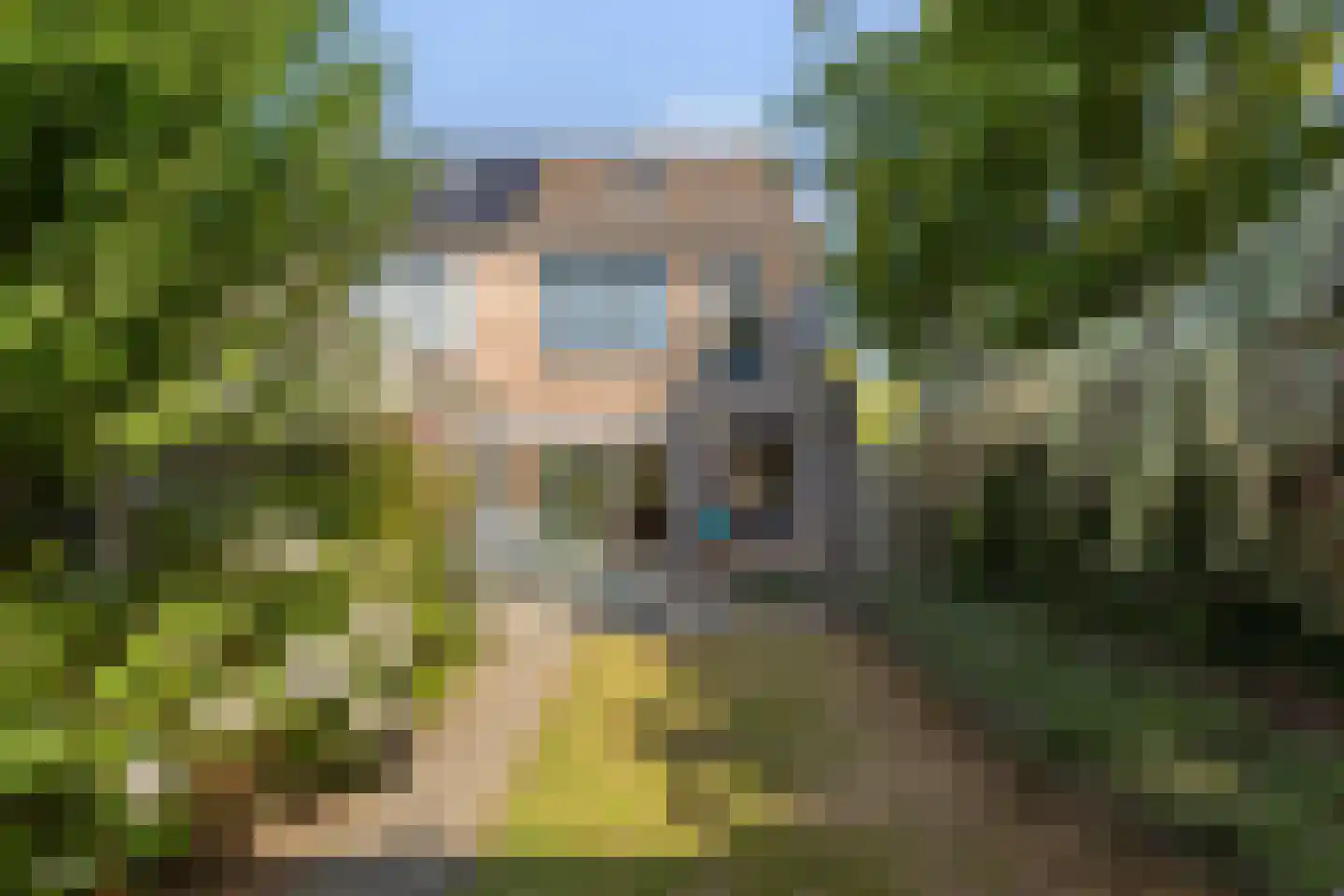 Kraanvogel 5 Breda thumbnail 36